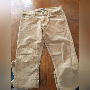 Polo Distressed Five Pocket Corduroy Pants